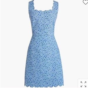 JCrew Dress